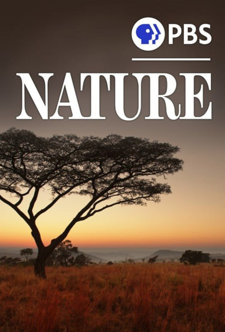 蜀锦人家电视剧