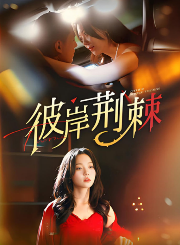 外国姐弟恋的欧美电视剧