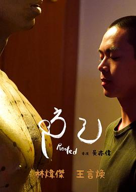 月升沧海电视剧免费观看完整版