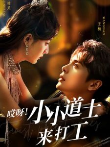 回到明朝当王爷电视剧