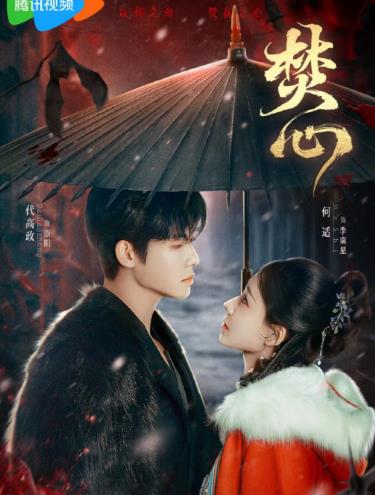 北方有佳人电视剧全集免费观看